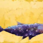 Purple Fish
Oil on Canvas
30" x 40"